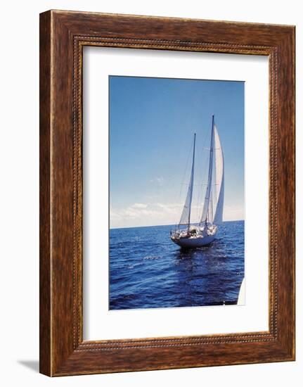 The Gypsy Moth IV-null-Framed Photographic Print