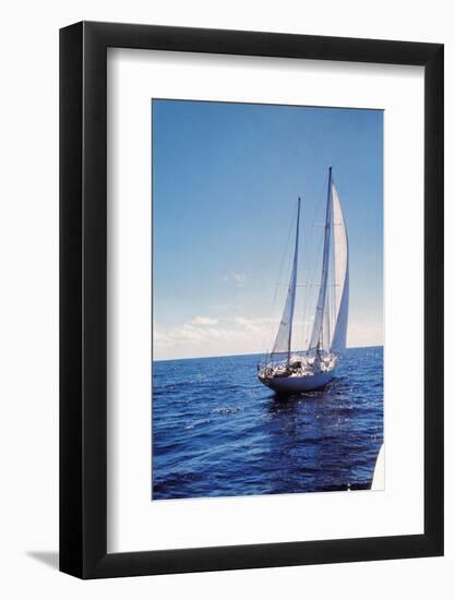 The Gypsy Moth IV-null-Framed Photographic Print