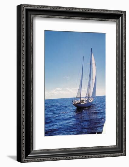 The Gypsy Moth IV-null-Framed Photographic Print