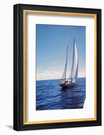 The Gypsy Moth IV-null-Framed Photographic Print