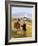 The Gypsy's Horse-Margaret Loxton-Framed Giclee Print