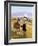 The Gypsy's Horse-Margaret Loxton-Framed Giclee Print