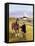 The Gypsy's Horse-Margaret Loxton-Framed Premier Image Canvas