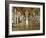 The Hall of Mirrors (State after Restoration in 2007)-null-Framed Giclee Print