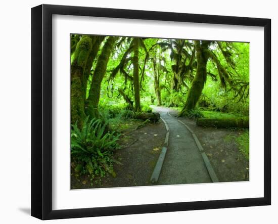 The Hall of Mosses Hoh Rainforest, Olympic National Park, Washington, USA-Terry Eggers-Framed Photographic Print