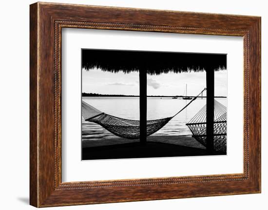 The Hammocks - Florida-Philippe Hugonnard-Framed Photographic Print