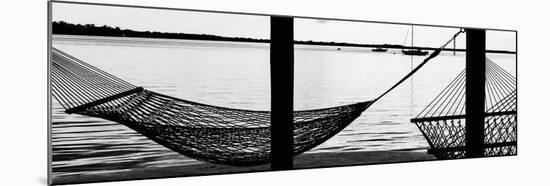 The Hammocks - Florida-Philippe Hugonnard-Mounted Premium Photographic Print