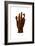 The Hand, 1923-null-Framed Giclee Print