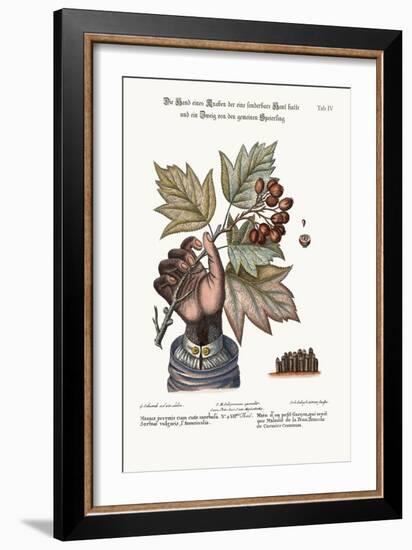 The Hand of a Boy with a Distempered Skin, and a Branch of the Common Service-Tree, 1749-73-George Edwards-Framed Giclee Print