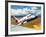 The Handley Page Jetstream-Wilf Hardy-Framed Giclee Print