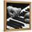 The Hands of Pianist Josef Hofmann on Piano Keyboard-Gjon Mili-Framed Premier Image Canvas