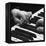 The Hands of Pianist Josef Hofmann on Piano Keyboard-Gjon Mili-Framed Premier Image Canvas