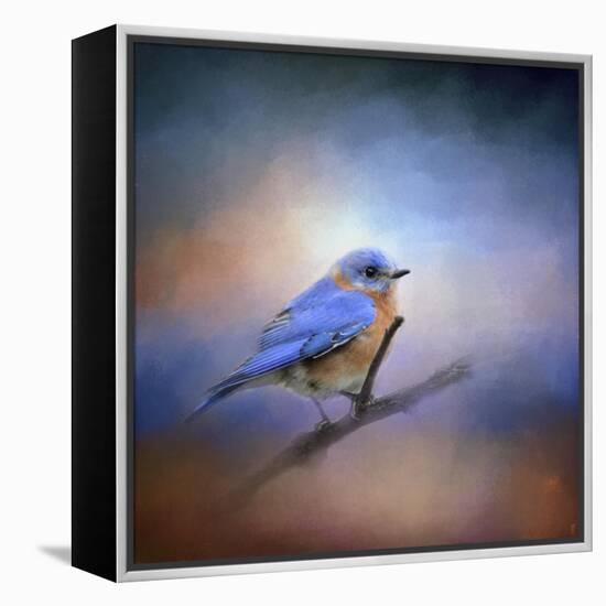 The Happiest Blue-Jai Johnson-Framed Premier Image Canvas