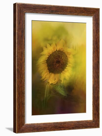 The Happiest Flower-Jai Johnson-Framed Giclee Print