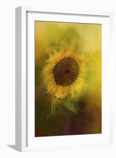 The Happiest Flower-Jai Johnson-Framed Giclee Print