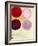 The Happy Dots 7, 2014-Nancy Moniz-Framed Giclee Print