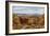 The Happy Valley, Tunbridge Wells-Alfred Robert Quinton-Framed Giclee Print