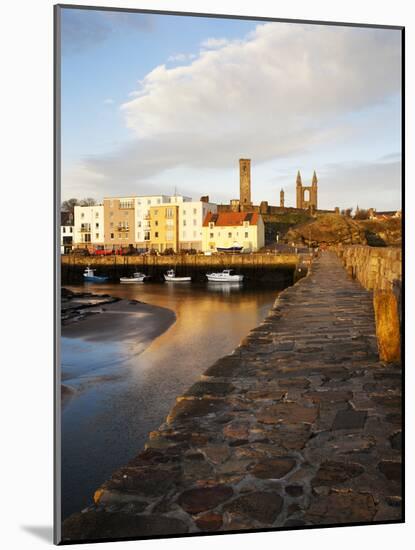 The Harbour at Dawn, St Andrews, Fife, Scotland-Mark Sunderland-Mounted Photographic Print
