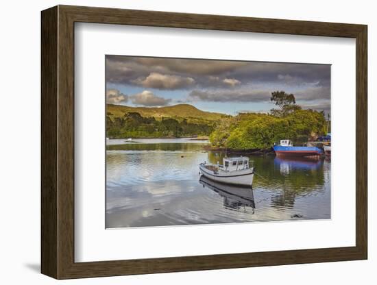 The harbour at Glengarriff, County Cork, Munster, Republic of Ireland, Europe-Nigel Hicks-Framed Photographic Print