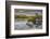 The harbour at Glengarriff, County Cork, Munster, Republic of Ireland, Europe-Nigel Hicks-Framed Photographic Print