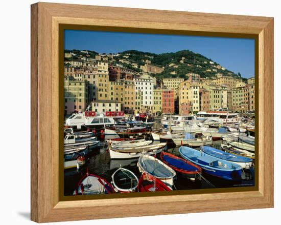 The Harbour, Camogli, Portofino Peninsula, Liguria, Italy-Ruth Tomlinson-Framed Premier Image Canvas