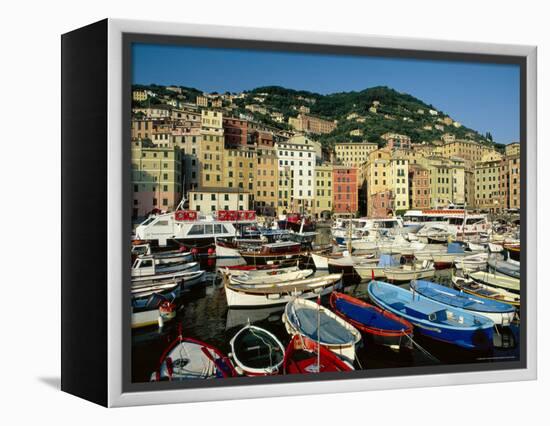 The Harbour, Camogli, Portofino Peninsula, Liguria, Italy-Ruth Tomlinson-Framed Premier Image Canvas