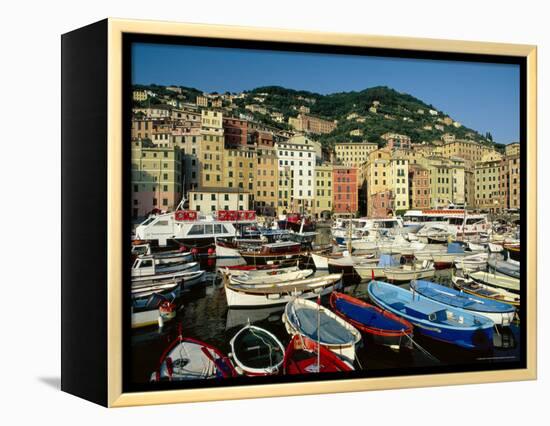 The Harbour, Camogli, Portofino Peninsula, Liguria, Italy-Ruth Tomlinson-Framed Premier Image Canvas