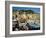 The Harbour, Camogli, Portofino Peninsula, Liguria, Italy-Ruth Tomlinson-Framed Photographic Print