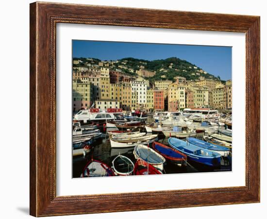 The Harbour, Camogli, Portofino Peninsula, Liguria, Italy-Ruth Tomlinson-Framed Photographic Print