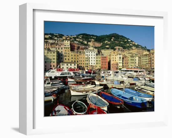 The Harbour, Camogli, Portofino Peninsula, Liguria, Italy-Ruth Tomlinson-Framed Photographic Print