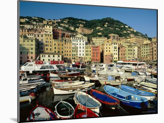 The Harbour, Camogli, Portofino Peninsula, Liguria, Italy-Ruth Tomlinson-Mounted Photographic Print