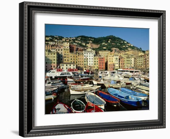 The Harbour, Camogli, Portofino Peninsula, Liguria, Italy-Ruth Tomlinson-Framed Photographic Print