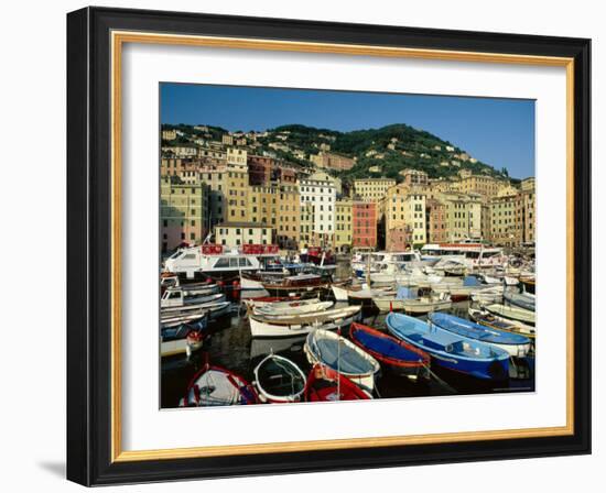 The Harbour, Camogli, Portofino Peninsula, Liguria, Italy-Ruth Tomlinson-Framed Photographic Print