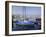 The Harbour in the Evening, Santa Barbara, California, USA-Ruth Tomlinson-Framed Photographic Print