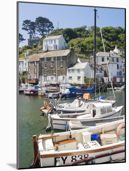 The Harbour, Polperro, Cornwall, England, United Kingdom, Europe-David Clapp-Mounted Photographic Print