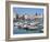 The Harbour, Trani, Puglia, Italy, Mediterranean-Sheila Terry-Framed Photographic Print