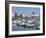 The Harbour, Trani, Puglia, Italy, Mediterranean-Sheila Terry-Framed Photographic Print