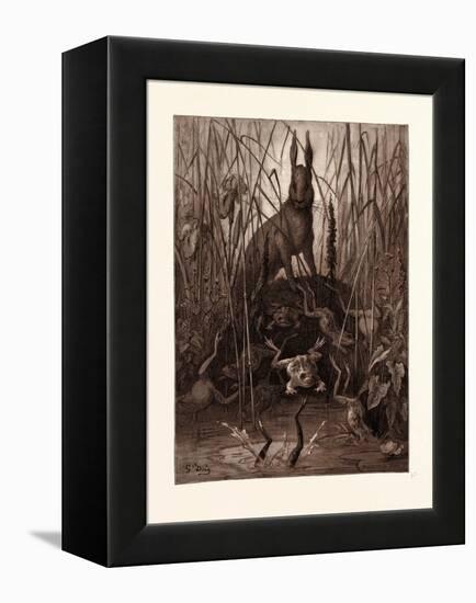 The Hare and the Frogs-Gustave Dore-Framed Premier Image Canvas