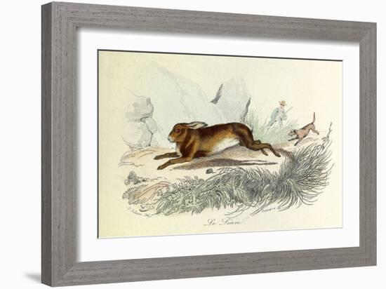 The Hare, Domestic Animals, from De Buffon-Georges-Louis Leclerc-Framed Art Print