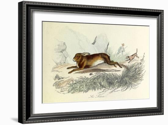 The Hare, Domestic Animals, from De Buffon-Georges-Louis Leclerc-Framed Art Print