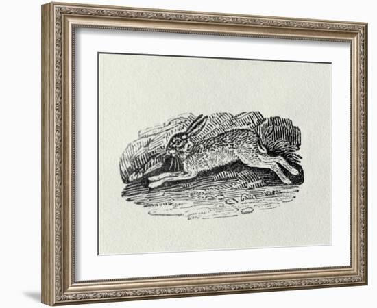 The Hare from 'History of British Birds and Quadrupeds' (Engraving)-Thomas Bewick-Framed Giclee Print