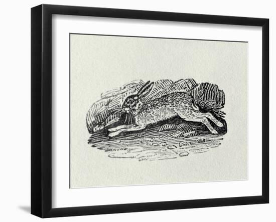 The Hare from 'History of British Birds and Quadrupeds' (Engraving)-Thomas Bewick-Framed Giclee Print