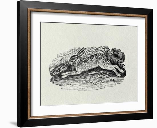 The Hare from 'History of British Birds and Quadrupeds' (Engraving)-Thomas Bewick-Framed Giclee Print