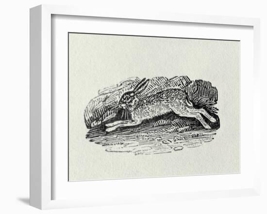 The Hare from 'History of British Birds and Quadrupeds' (Engraving)-Thomas Bewick-Framed Giclee Print