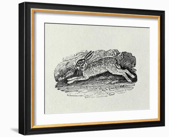 The Hare from 'History of British Birds and Quadrupeds' (Engraving)-Thomas Bewick-Framed Giclee Print