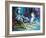 The Harlequin And A White Parrot-balaikin2009-Framed Art Print