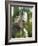 The Harpy Eagle (Harpia Harpyja), Misiones, Argentina-Andres Morya Hinojosa-Framed Photographic Print