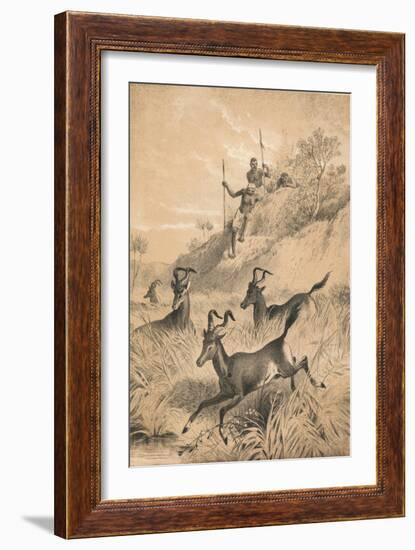 The Hartebeest, c1880-null-Framed Giclee Print