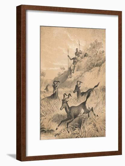 The Hartebeest, c1880-null-Framed Giclee Print