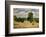 The Harvest, c.1876-Camille Pissarro-Framed Art Print